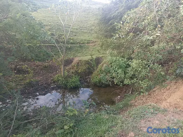 solares y terrenos - 🐄 Finca Ganadera en Venta – A Solo 45 Minutos de  1