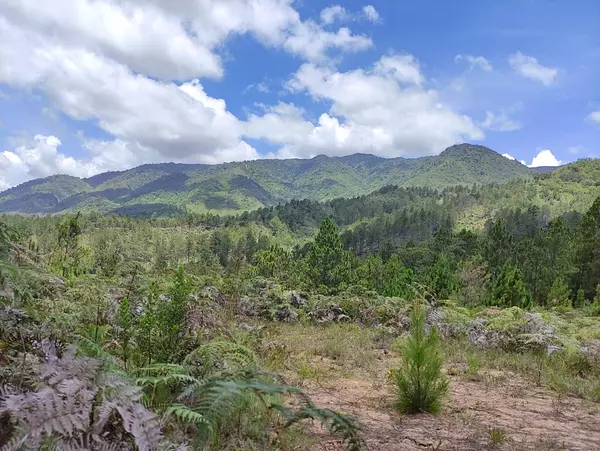 solares y terrenos - Solares Disponibles a Pocos Minutos de Constanza  1