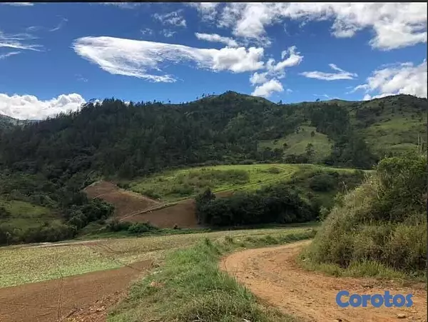 solares y terrenos - Finca en Constanza de 796 tareas con titulo y deslinde  5