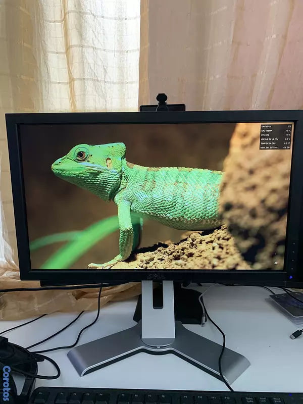 computadoras y laptops - MonitorDELL20”1600 x 600 pixeles 60Hz,5msPanel TN, DVI-D, DP, VGA, 4 puertos USB 3