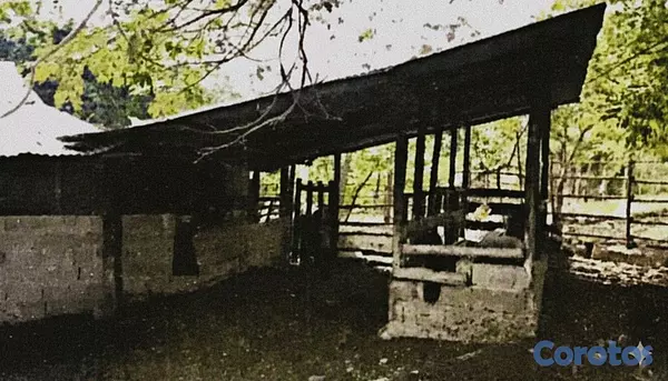 solares y terrenos - finca de 729 tareas en san José de las matas  12