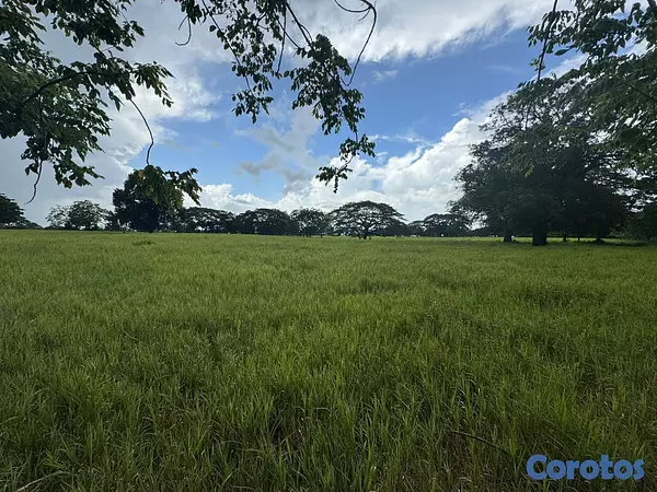 solares y terrenos - Finca Ganadera en Cotui de 800 tareas  5