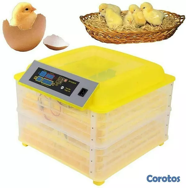 equipos profesionales - Incubadoras de 112 huevos automatico digital Pollo Pato Aves de corral 3