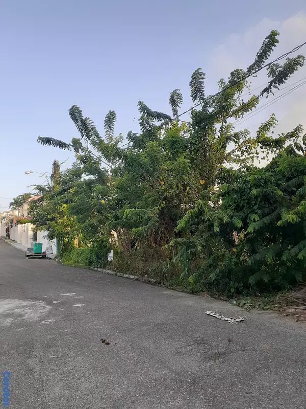 solares y terrenos - Solar en venta 1000 M2, deslindado, Puerto Plata 2
