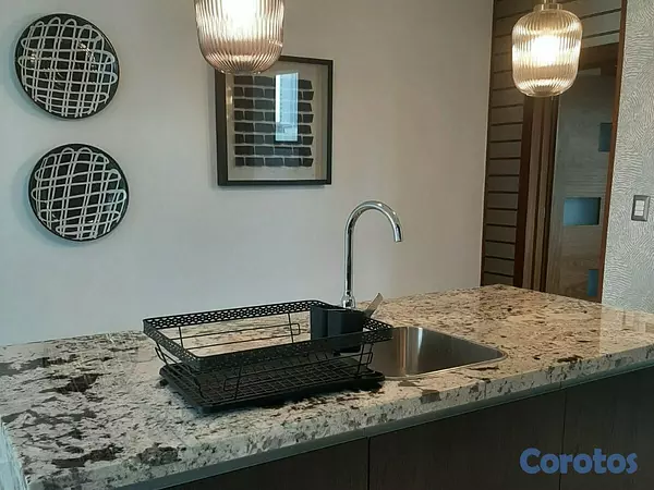 apartamentos - Apartamento en Alquiler en Piantini Amueblado de U 6
