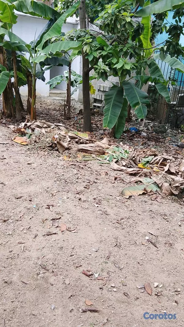 solares y terrenos - ​¡Oportunidad! Terreno de 245 m² con Local Comercial en Manoguayabo 3