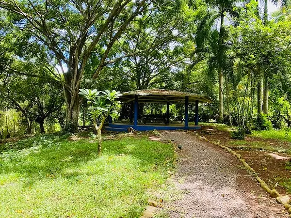 casas - Finca de 106 tareas en Venta, Los Cocos | Pedro Brand 8