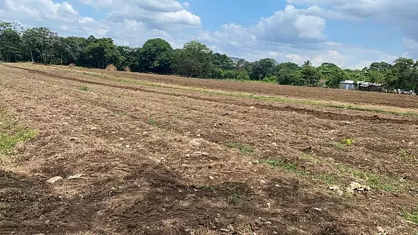 solares y terrenos - Finca 289,340 mts en Bonao 2