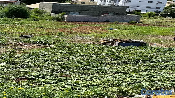 solares y terrenos - Solar en venta ubicado en Villa Faro - Santo Domingo Este 3