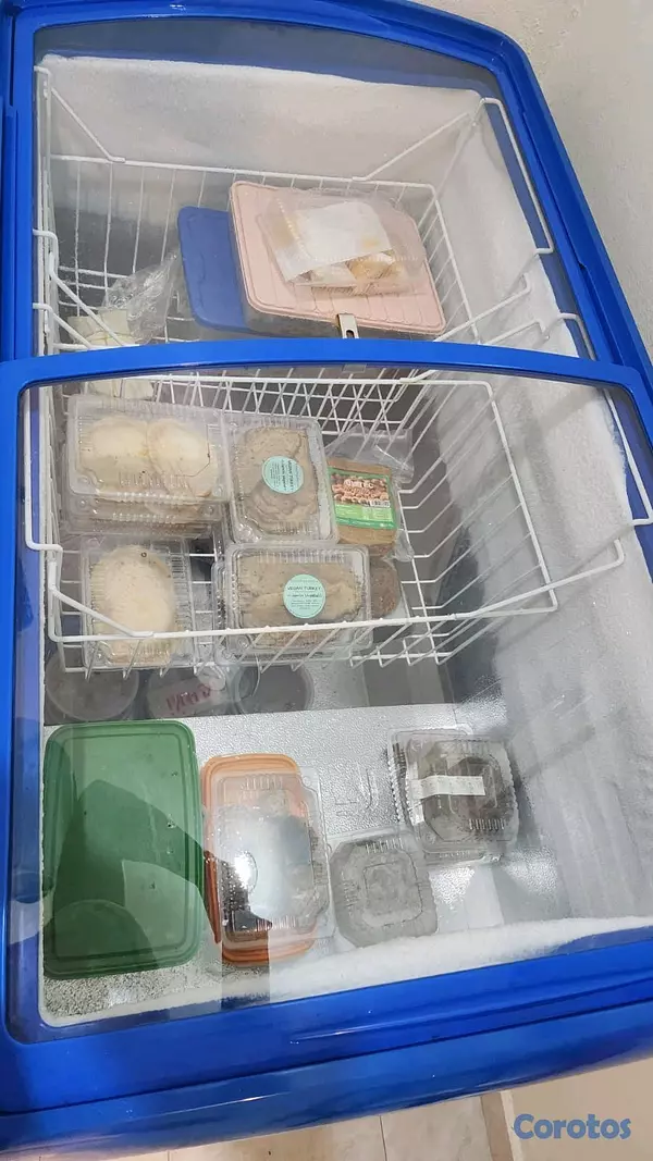equipos profesionales - Freezer Keprite como nuevo 4