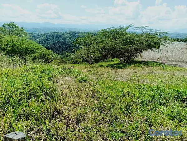 solares y terrenos - Terreno 80 Tareas de Venta en San Jose de Las Matas 6
