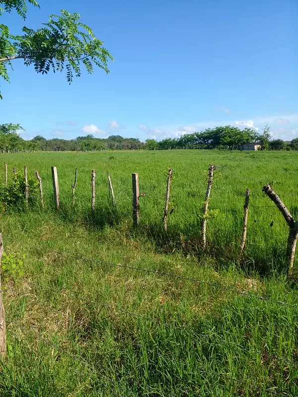 casas vacacionales y villas - casa con finca ganadera  4