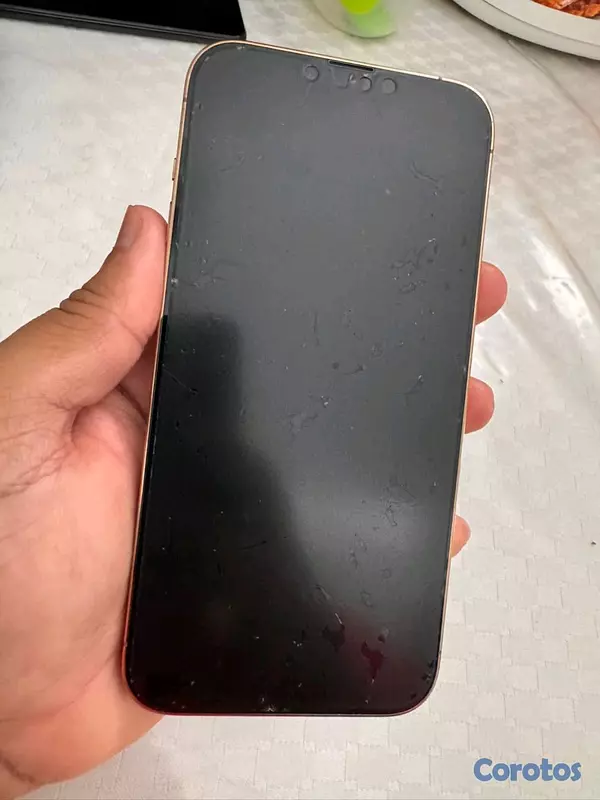 celulares y tabletas -  iPhone 13 Pro Max 2