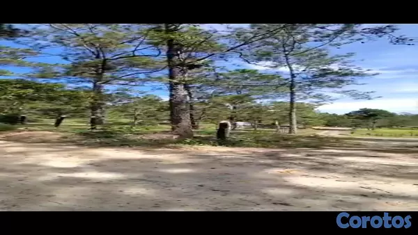 solares y terrenos - Solares en venta en Jarabacoa con vistas a las montañas 6