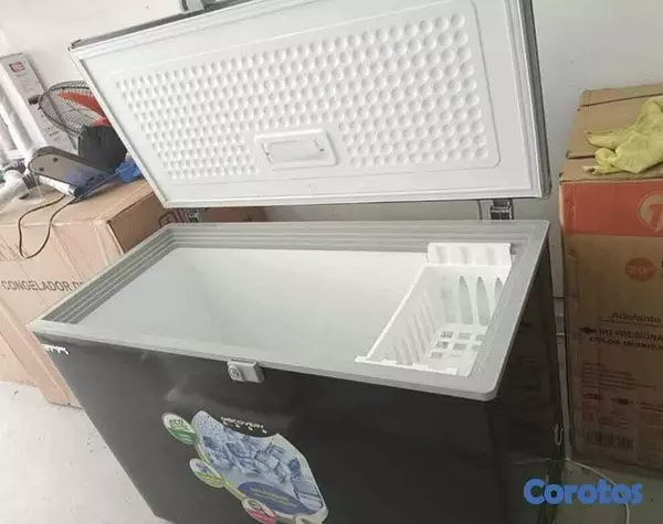 equipos profesionales - freezer Discovery 11 pies cúbicos  2