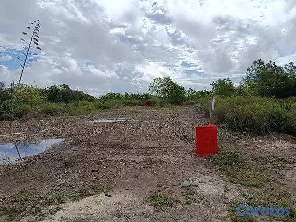 solares y terrenos - Solar venta bravo punta cana 4
