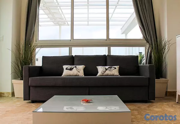 penthouses - Playa Nueva Romana  8