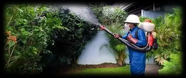 empleos disponibles - Se solicita técnico en fumigación 
