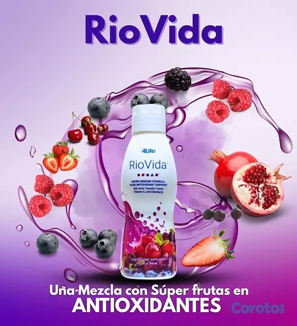 Salud y Equipamiento Médico - Suplementos y proteínas. 15