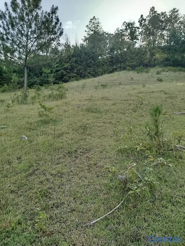solares y terrenos - Solar en venta, en las Auyamas Constanza. con una vista espectacular! 5