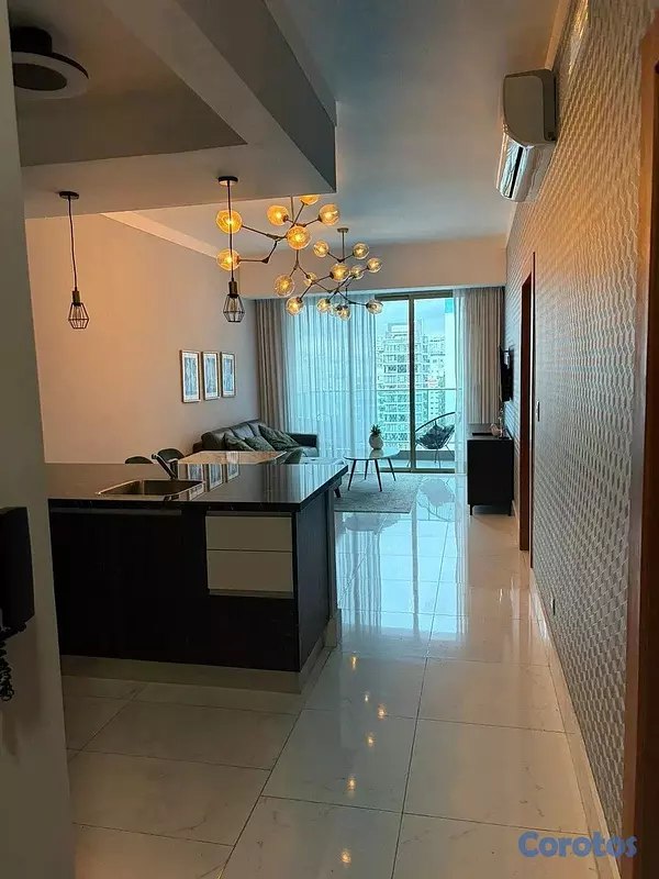 apartamentos - Alquiler de Apartamento Amueblado en Piantini  3