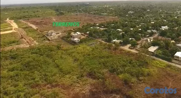 solares y terrenos - VENTA SOLAR EN LA CALETA-BOCA CHICA 2