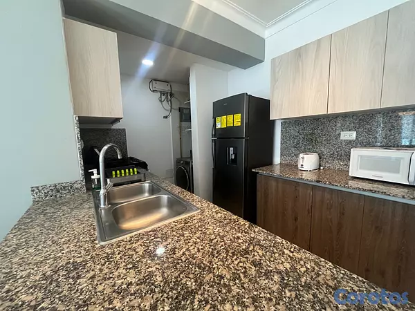 apartamentos - Apartamento en Alquiler en Ensanche Naco de UNA Ha 14