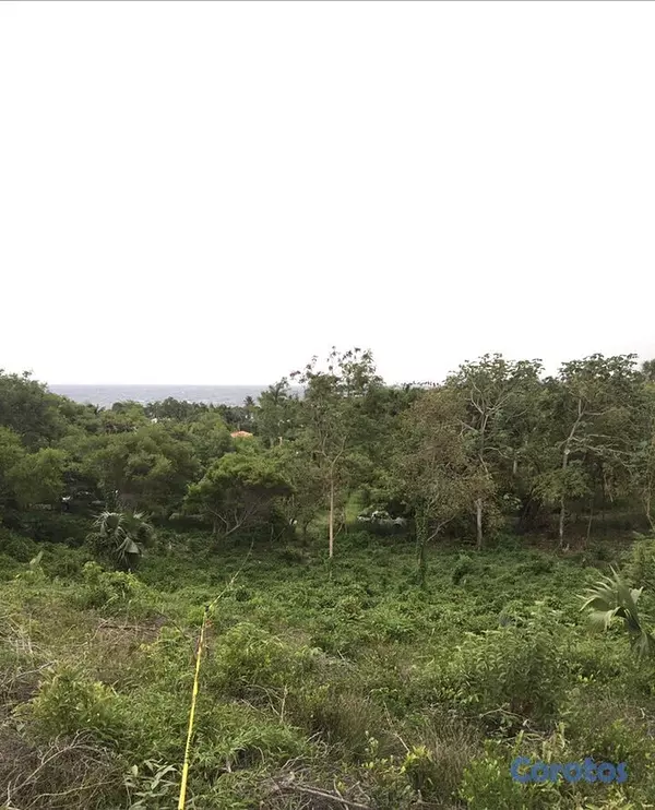 solares y terrenos - Solar en playa cofresi 1,300 metros puerto plata  6