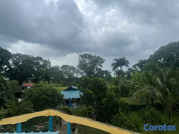 solares y terrenos - Finca Ganadera en Bayaguana de 855 tareas  8