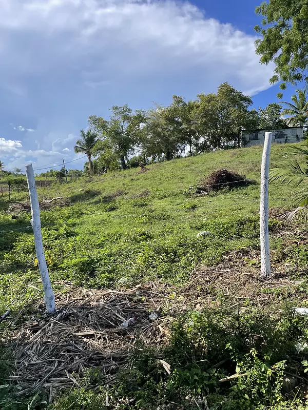 solares y terrenos - Terreno en Benerito - 12km de Bayahibe 5