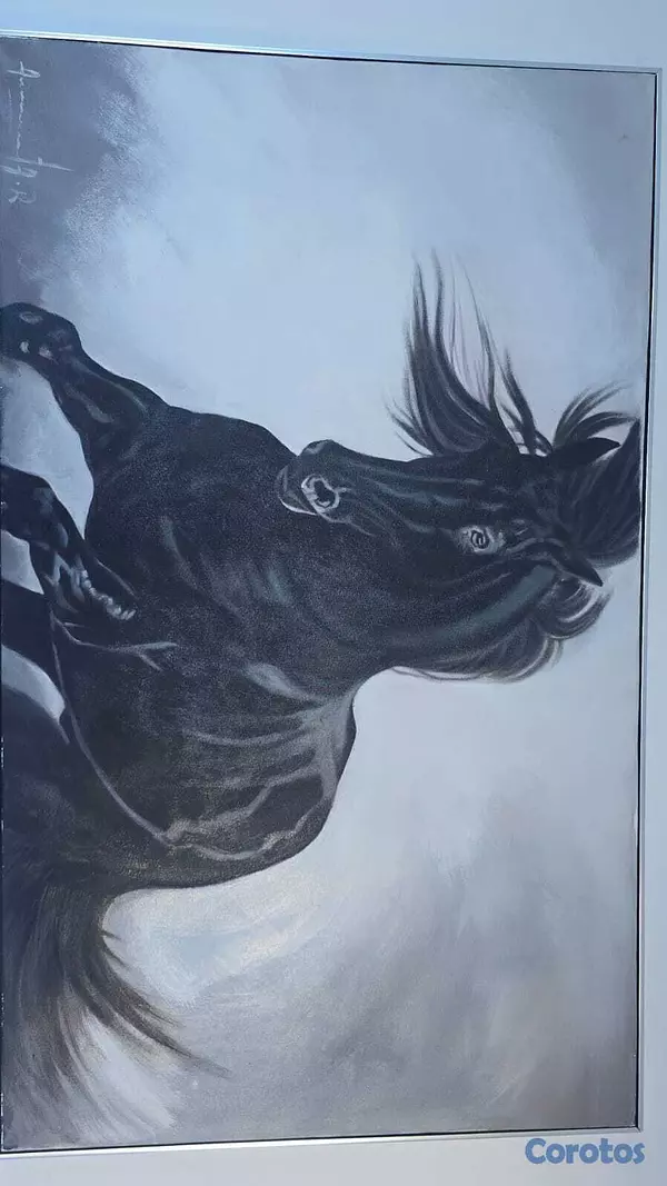 decoración y accesorios - Cuadros y lámpara en venta  3