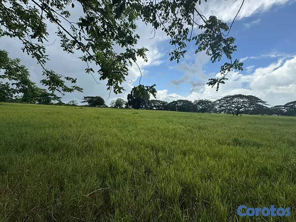 solares y terrenos - Finca Ganadera en Cotui de 800 tareas  4
