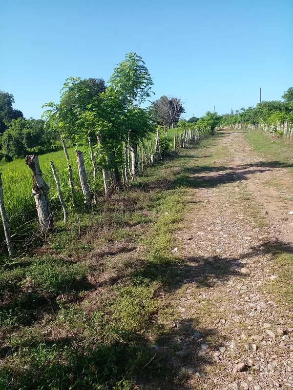casas vacacionales y villas - casa con finca ganadera  9
