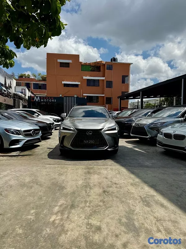 jeepetas y camionetas - Lexus NX-250 AWD 2024 2