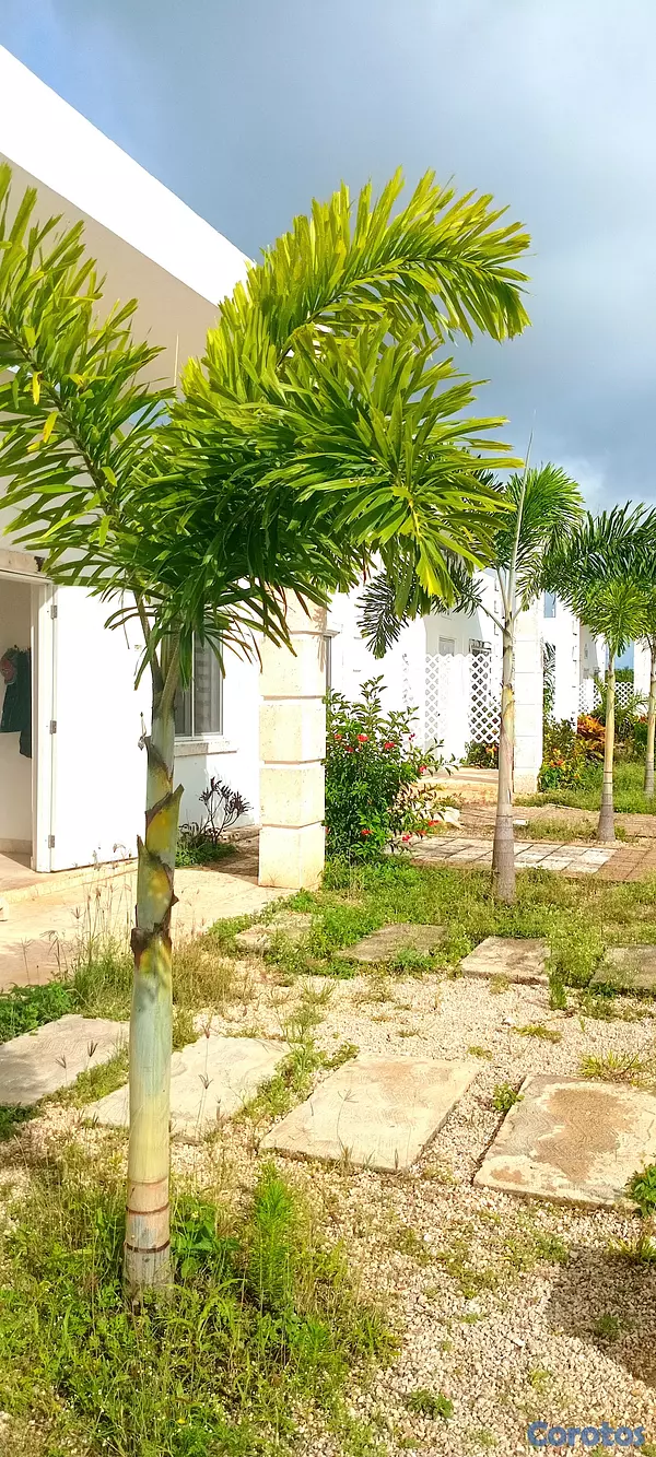 solares y terrenos -  ¡Solares excepcionales a tan solo 4500 pesos/m2! 4