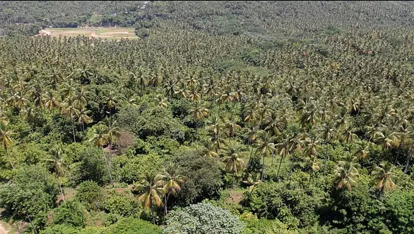 solares y terrenos - Solares en venta, en Sánchez 5