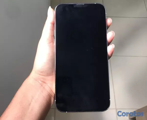 celulares y tabletas - IPhone 13 Pro Max  2