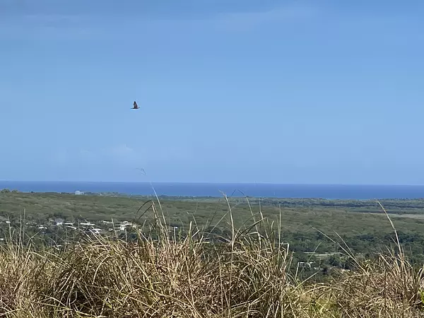 solares y terrenos - solares con vista al mar Pto Plta  4