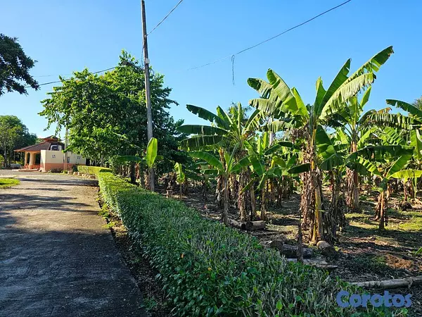 solares y terrenos - Solar de 168620m2 San Francisco de macoris 10