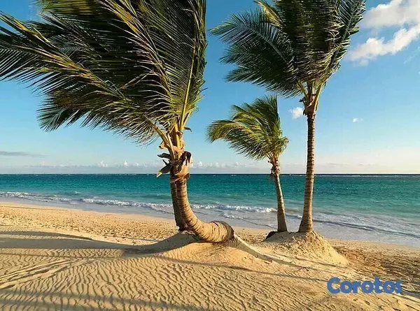 casas vacacionales y villas - ¡DIOS! CAP CANA 📍! ⛱️✈️🔑👙 ✨Apartamentos de lujo… Vive donde otros Vacacionan! 4