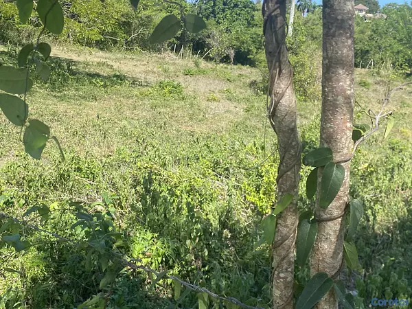 solares y terrenos - terreno para proyecto en sosua  2