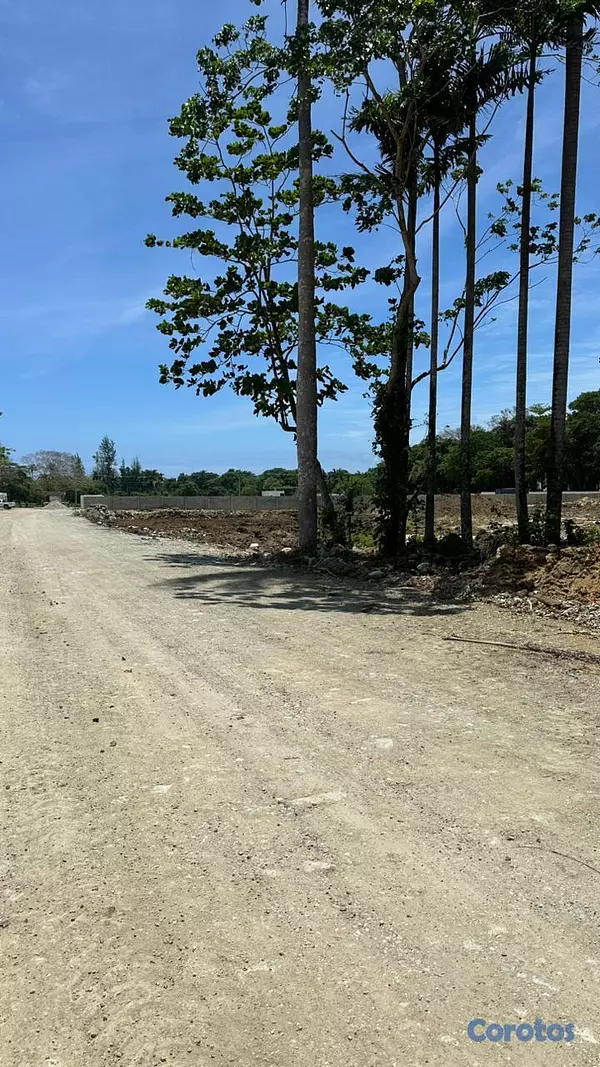 solares y terrenos - TERRENOS EN VENTA EN MUÑOZ PUERTO PLATA 3