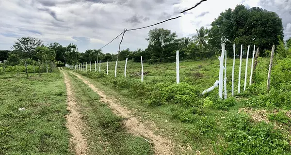 solares y terrenos - Terreno en Benerito - 12km de Bayahibe 7
