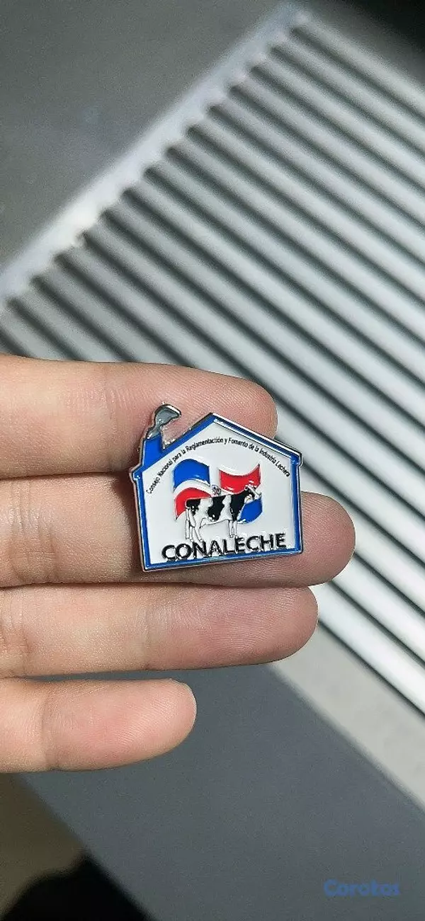 servicios profesionales - PINES PERSONALIZADOS 6
