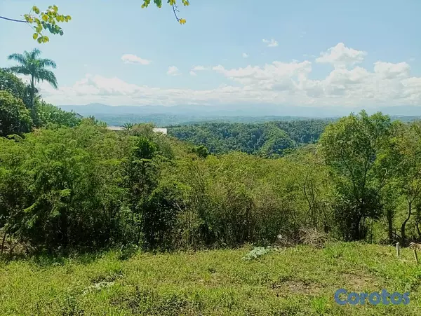 solares y terrenos - Terreno 80 Tareas de Venta en San Jose de Las Matas 7