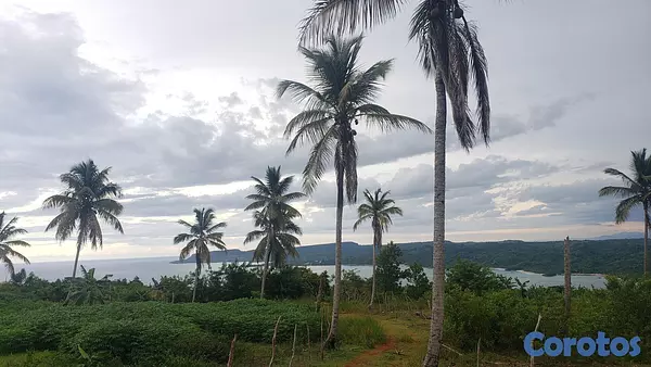 solares y terrenos - Solar en Bahia Rincon Samana de 147782 metros Vista al mar No Broker 3