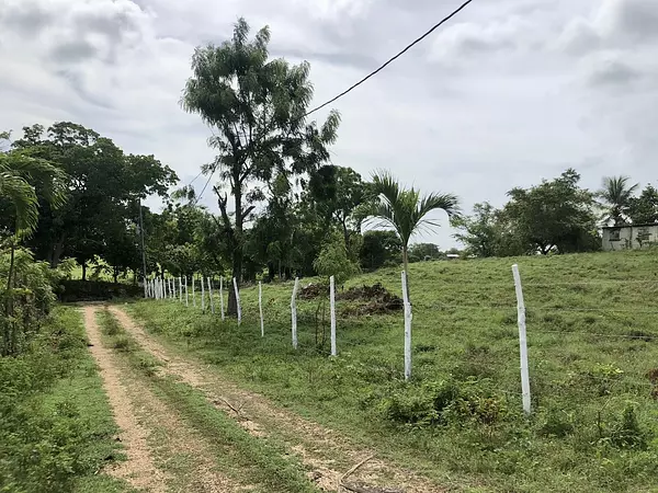 solares y terrenos - Terreno en Benerito - 12km de Bayahibe 8