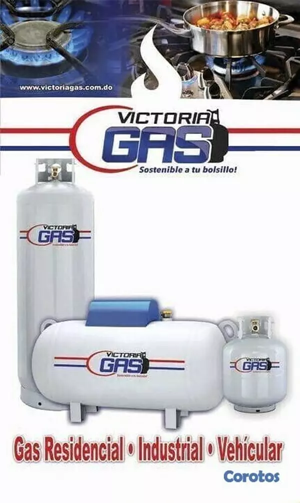 servicios profesionales - Venta de gas y gasoil a domicilio. 3