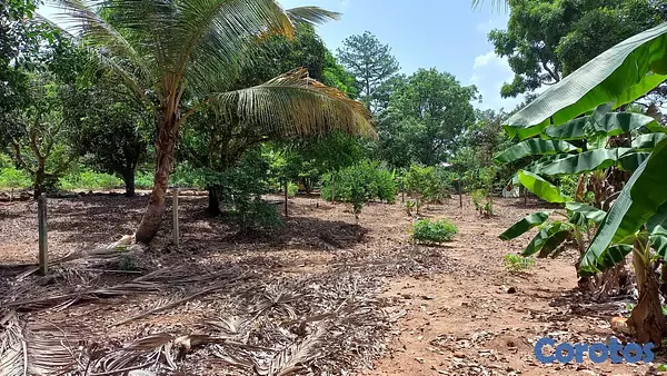 apartamentos - Solar en los Mogotes Villa Altagracia de 5mil metr 4