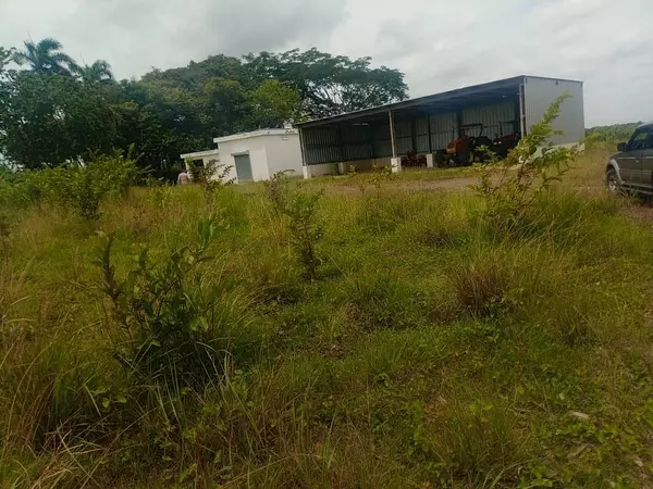 solares y terrenos - finca ganadera en bayaguana  2